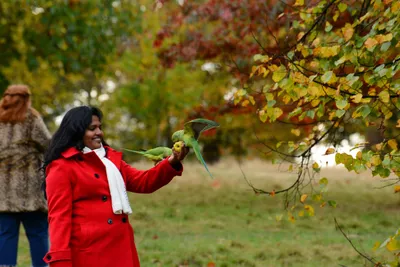 DSC_0486 (Large).JPG